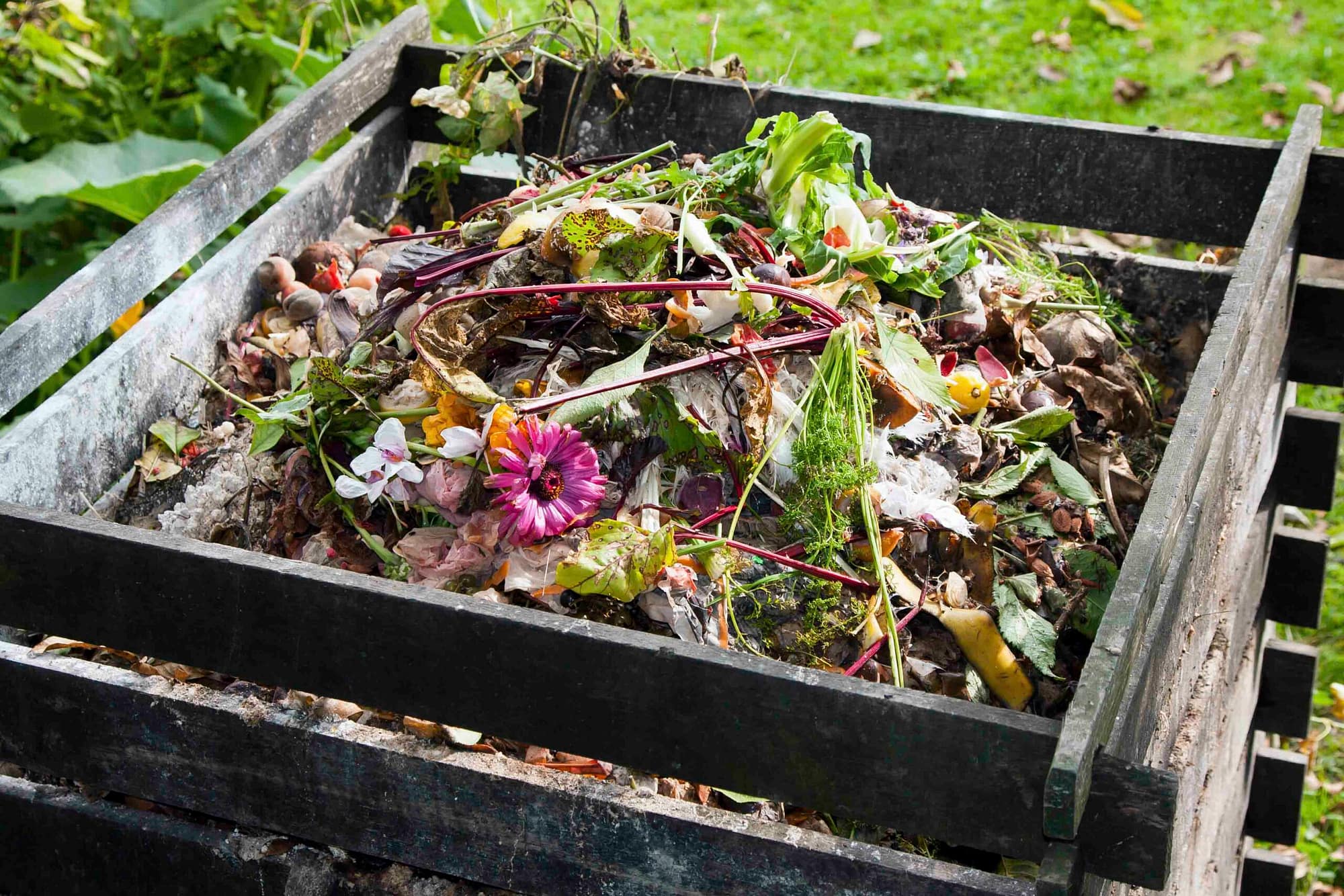 Compost Frame with Vegetables and Flowers