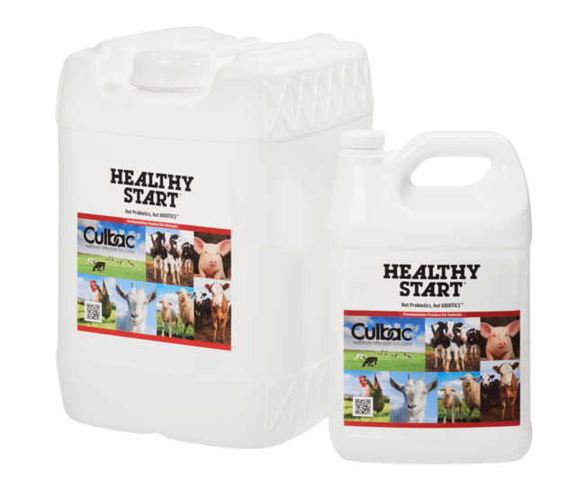 Cattle Health Problems & Probiotic Plus Solutions