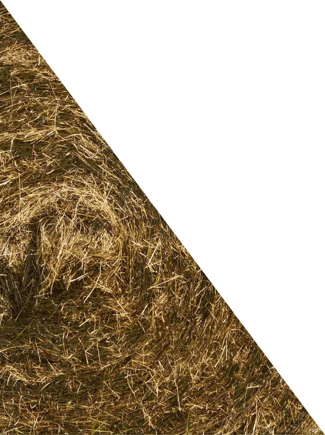 Culbac Hay Preservative Liquid Mold Mildew Yeast And Bad Bacteria Inhibitor For Hay 