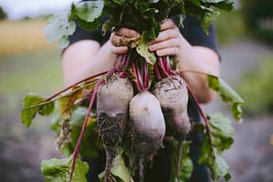 Person Holding Beets