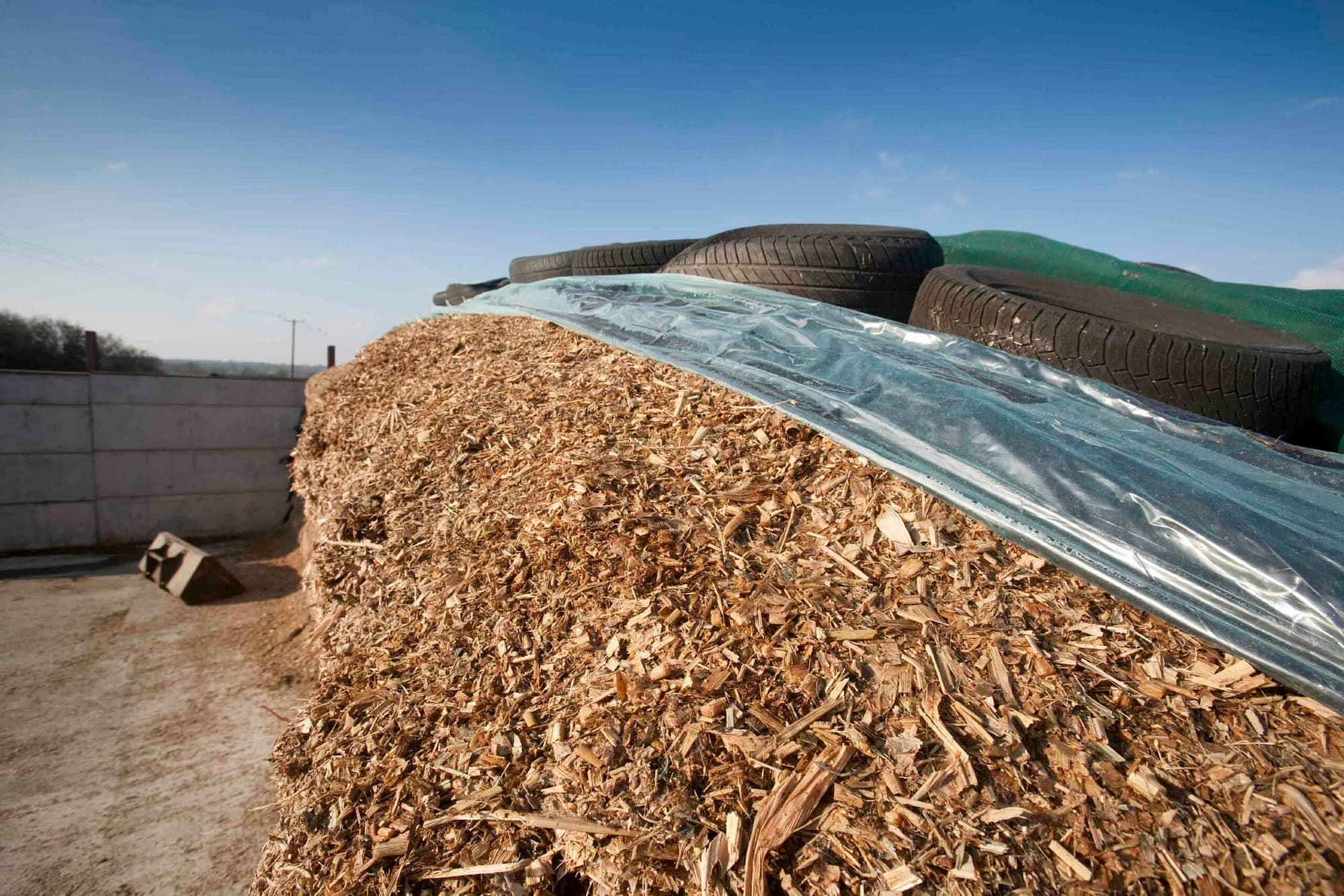 Silage in Covered Pile