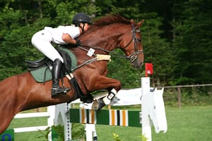 Jumping Horse with Rider