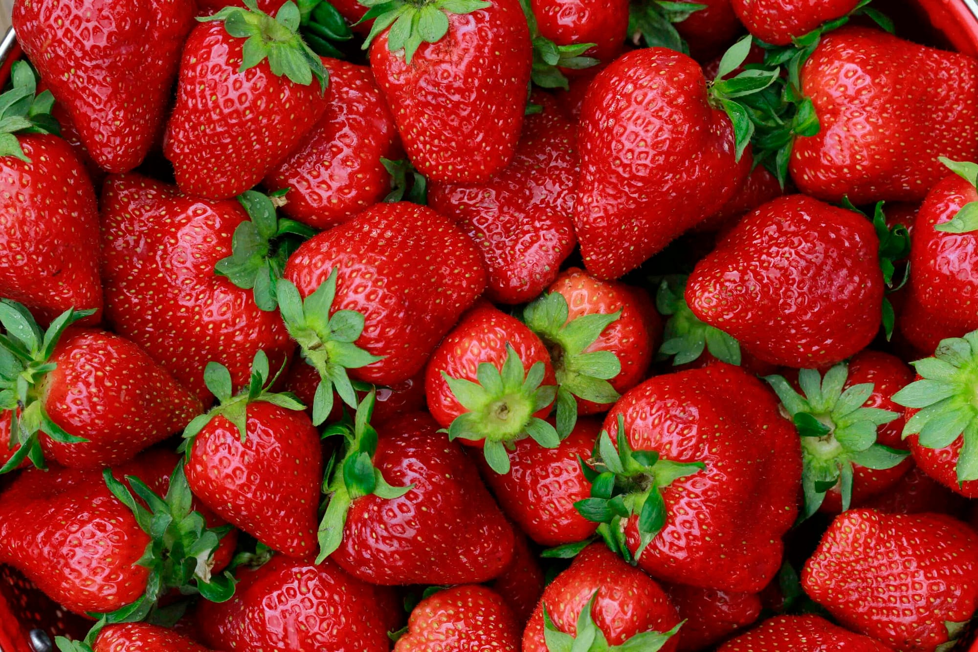 Closeup of Strawberries